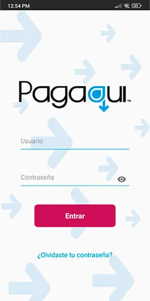 Inicio de sesión a sistema de recargas